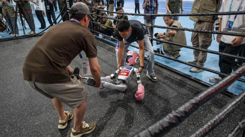 2025年證明人形機器人將長期存在，但也終將衰敗。