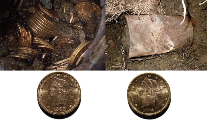 一對夫婦遛狗時撿到了價值1000萬美元的稀有硬幣。