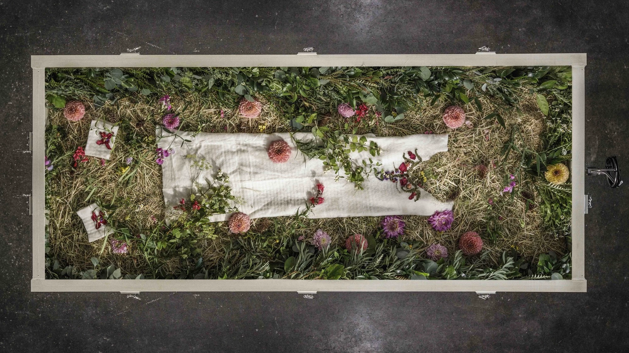 俯拍鏡頭展現了一個人體堆肥容器，它形狀像一個長方形的種植箱，框架為輕質木材。容器內部舖有一層稻草、木屑和有機物，點綴著色彩鮮豔的粉紅色和紫色花朵。一個用白布包裹的物體靜靜地躺在中央。
