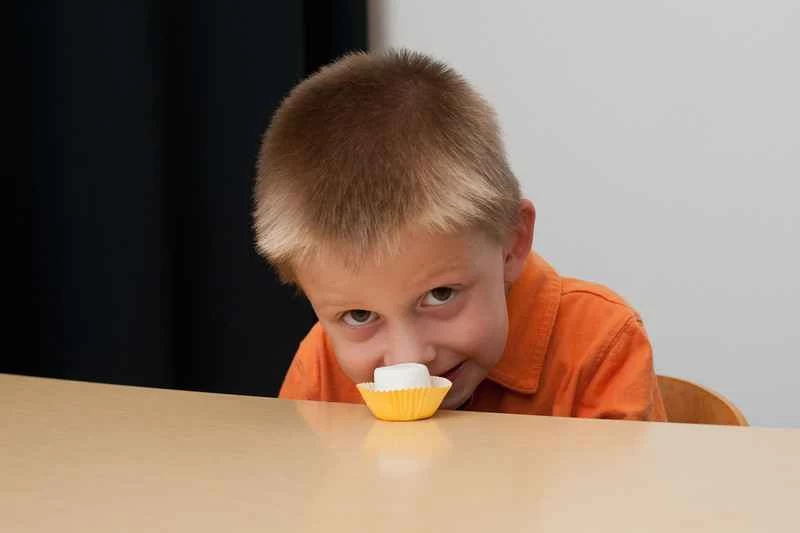 經典棉花糖實驗新版顛覆了原有結論