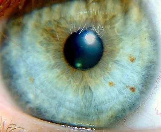 人類首次用肉眼觀測到量子糾纏現象。