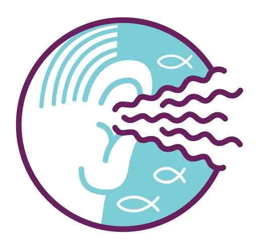 我們耳朵能聽見的最敏銳的聲音