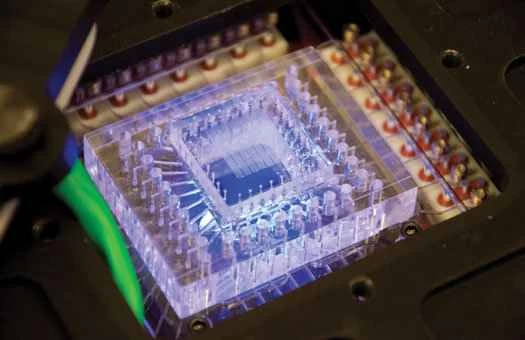 這顆晶片可以篩選火星土壤，尋找外星DNA