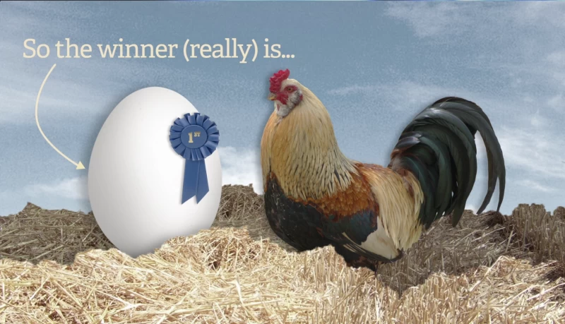 先有雞還是先有蛋？ 【影片】