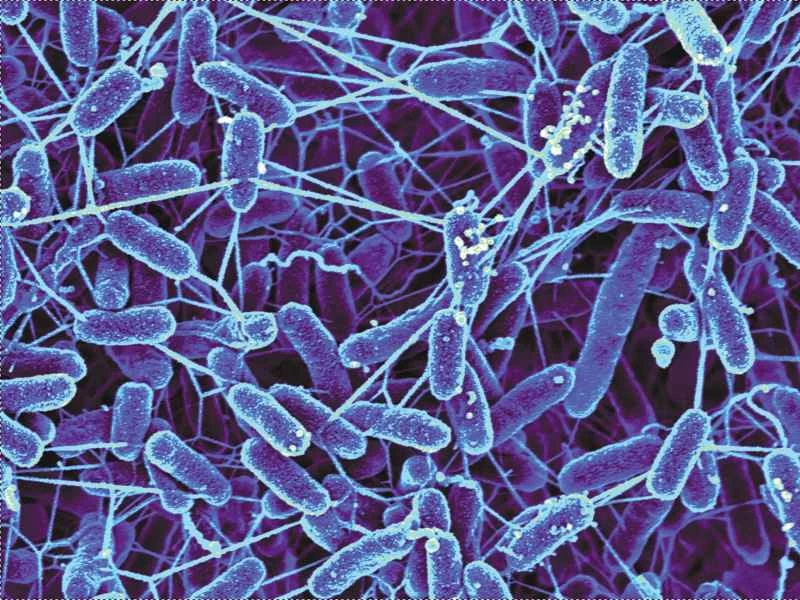 我們是否發現了外星生命？