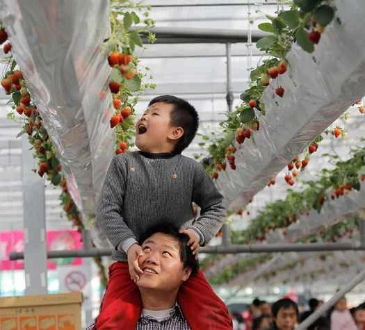 2012年2月20日至24日，本週最令人驚嘆的科學圖片