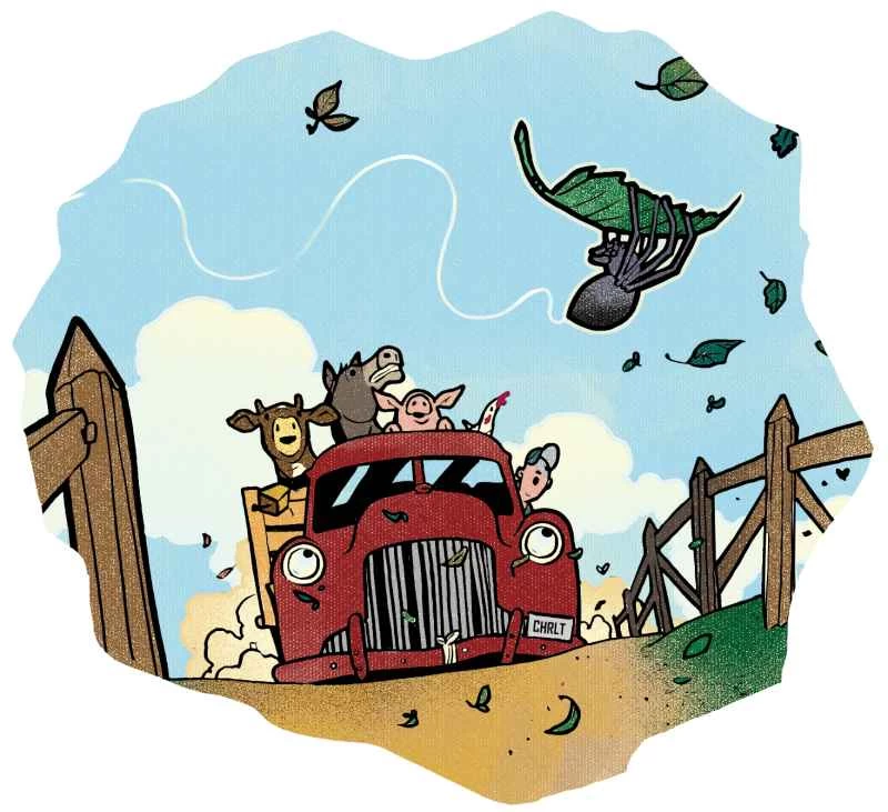 那張蜘蛛網是怎麼過馬路的？