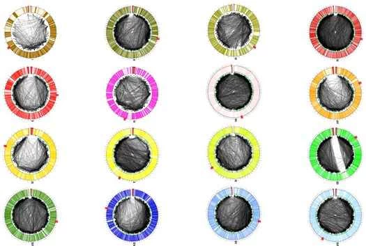 啤酒科學：啤酒的關鍵成分揭示了我們自身基因組的哪些訊息