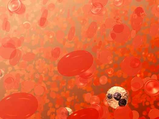 為什麼有些人看到血會暈倒？