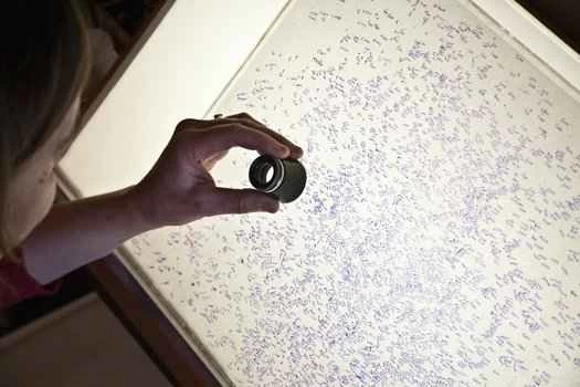 用掃描器記錄一個世紀的夜空