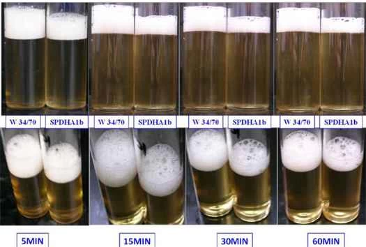 BeerSci：如何製作啤酒泡沫
