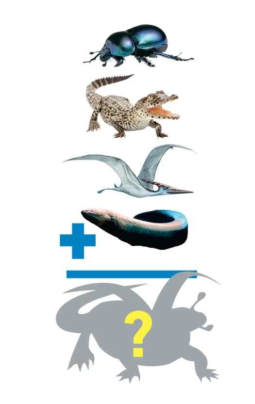 如果進化朝著不同的方向發展，龍是否可能存在？