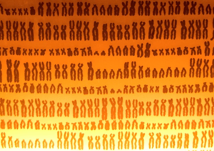 揭開人類基因組中神秘暗物質的面紗