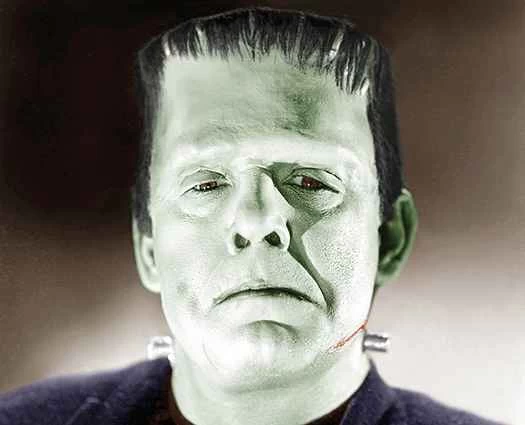 人體中最不重要的器官有哪些？