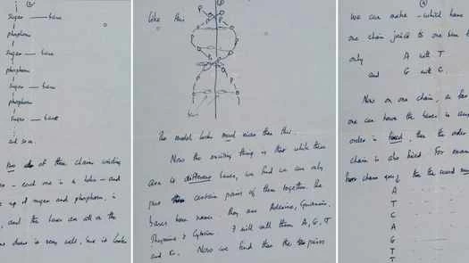 法蘭西斯·克里克於1953年寫給他兒子的信