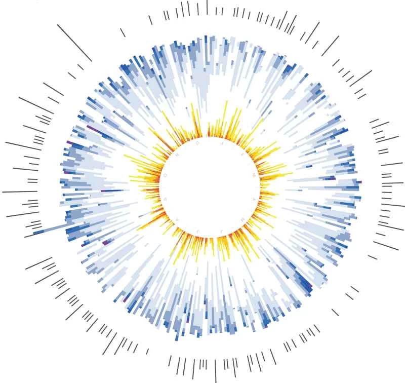 糖尿病患者一年的血糖和活動水平