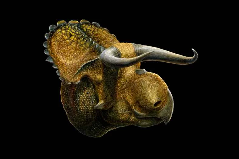 猶他州發現的新恐龍物種看起來完全像一頭牛