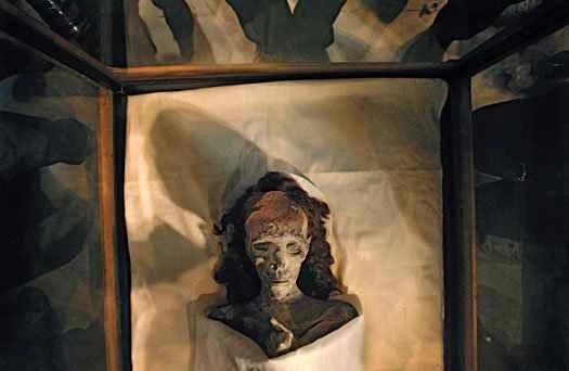 圖坦卡門國王唯一的祖母