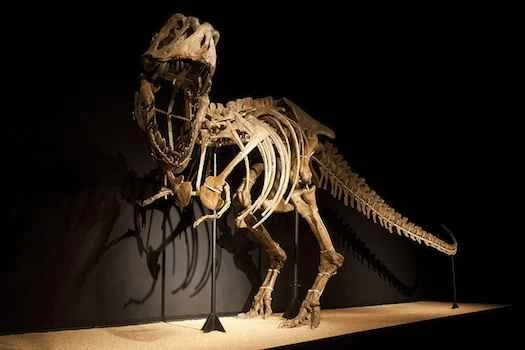 供您參考：如何將恐龍運送到地球另一端？