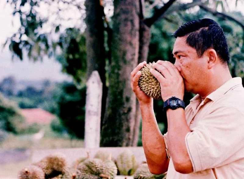 馬來西亞一種本土語言對氣味的描述如同英語對顏色的描述一樣精準