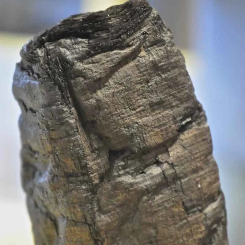 X射線技術幫助考古學家解讀維蘇威火山爆發保存下來的捲軸