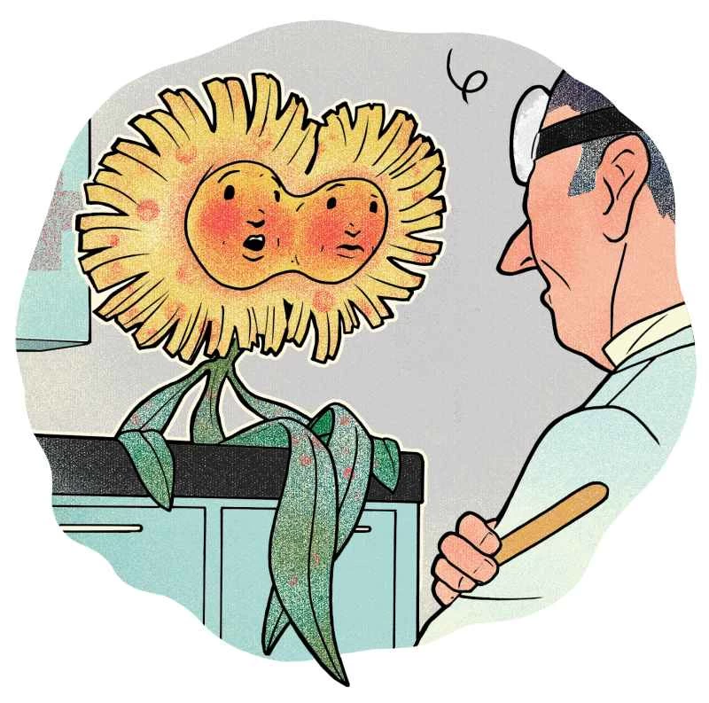 問任何問題：植物會得性傳染病嗎？