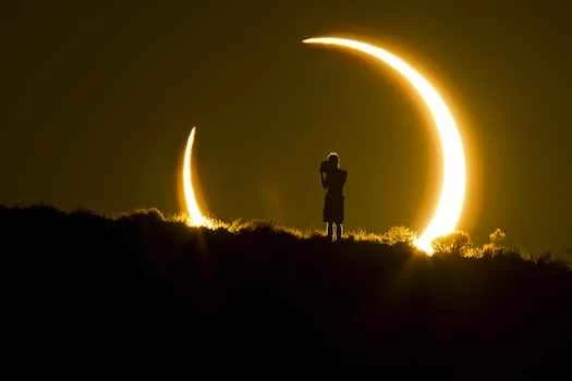 年度十大最佳自然攝影作品