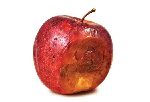 新理論挑戰我們對自然界最基本力量的理解