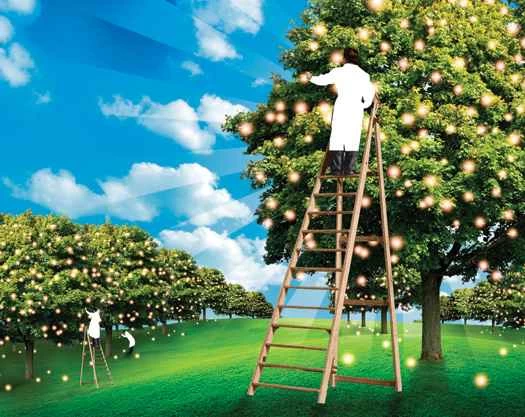 不可分割的部分