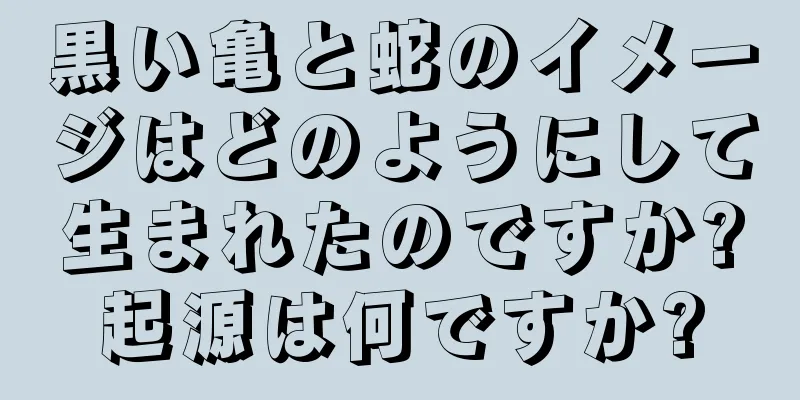 黒い亀と蛇のイメージはどのようにして生まれたのですか?起源は何ですか?