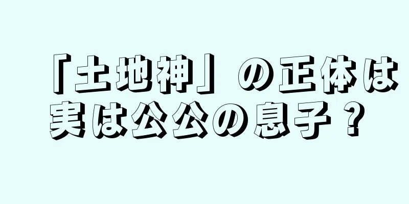 「土地神」の正体は実は公公の息子？