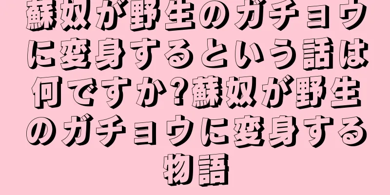 蘇奴が野生のガチョウに変身するという話は何ですか?蘇奴が野生のガチョウに変身する物語