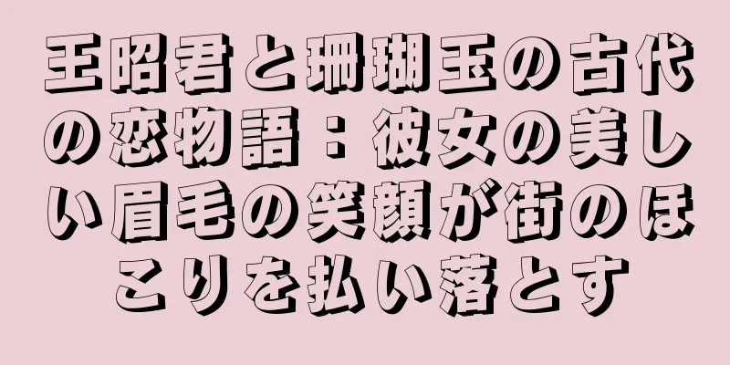 王昭君と珊瑚玉の古代の恋物語：彼女の美しい眉毛の笑顔が街のほこりを払い落とす