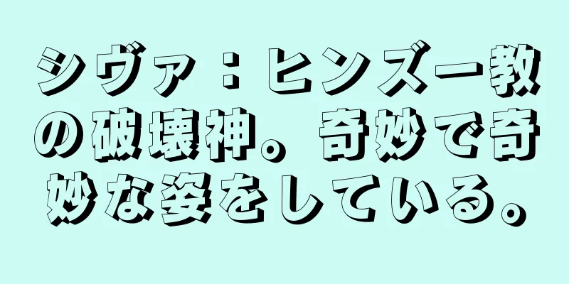 シヴァ：ヒンズー教の破壊神。奇妙で奇妙な姿をしている。