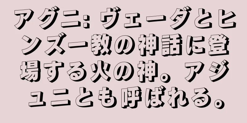 アグニ: ヴェーダとヒンズー教の神話に登場する火の神。アジュニとも呼ばれる。