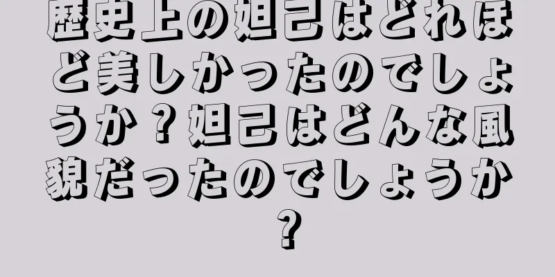 歴史上の妲己はどれほど美しかったのでしょうか？妲己はどんな風貌だったのでしょうか？