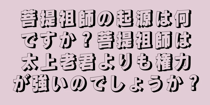菩提祖師の起源は何ですか？菩提祖師は太上老君よりも権力が強いのでしょうか？