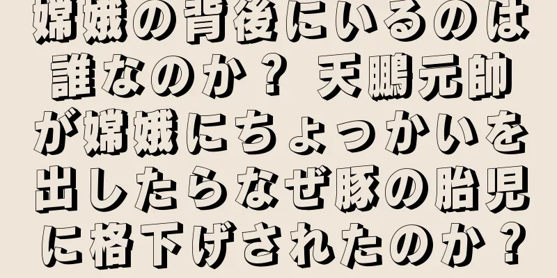 嫦娥の背後にいるのは誰なのか？ 天鵬元帥が嫦娥にちょっかいを出したらなぜ豚の胎児に格下げされたのか？