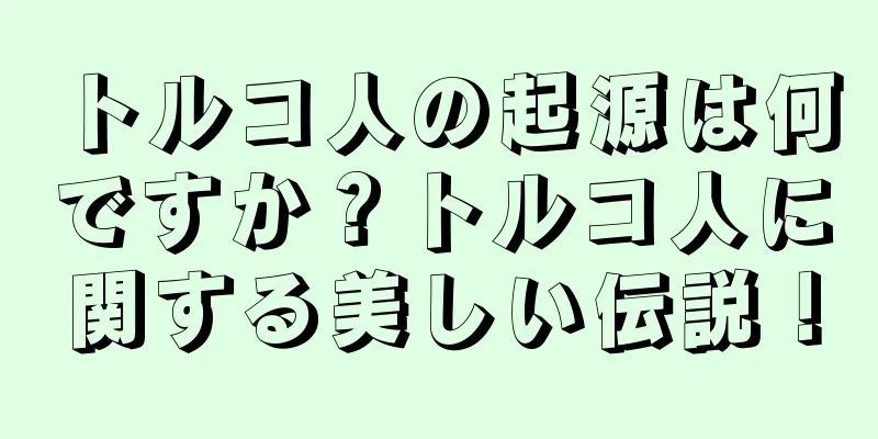 トルコ人の起源は何ですか？トルコ人に関する美しい伝説！