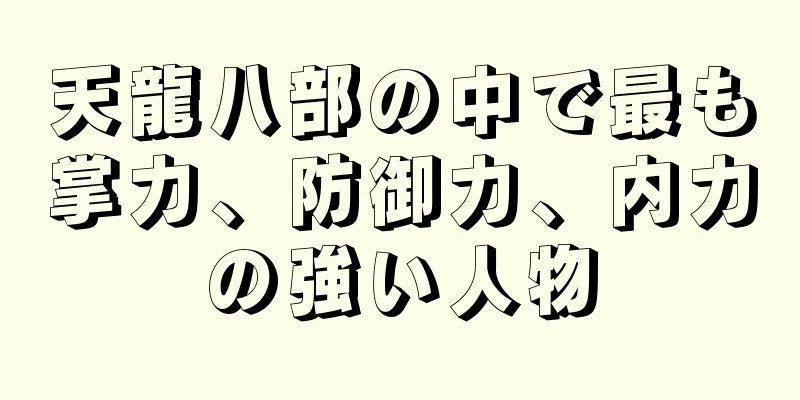 天龍八部の中で最も掌力、防御力、内力の強い人物