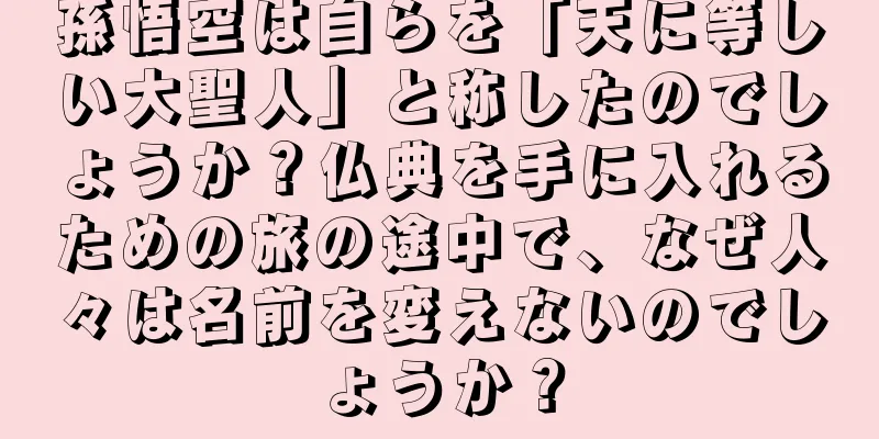 孫悟空は自らを「天に等しい大聖人」と称したのでしょうか？仏典を手に入れるための旅の途中で、なぜ人々は名前を変えないのでしょうか？