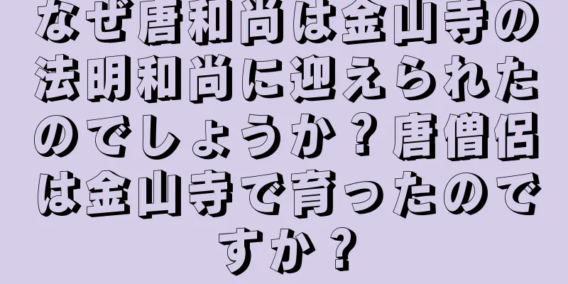 なぜ唐和尚は金山寺の法明和尚に迎えられたのでしょうか？唐僧侶は金山寺で育ったのですか？