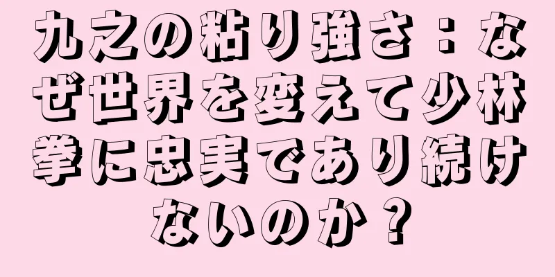 九之の粘り強さ：なぜ世界を変えて少林拳に忠実であり続けないのか？