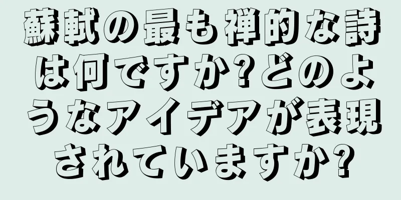 蘇軾の最も禅的な詩は何ですか?どのようなアイデアが表現されていますか?