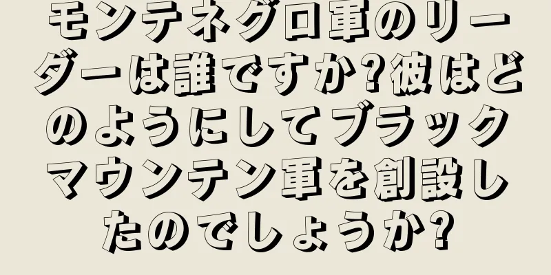 モンテネグロ軍のリーダーは誰ですか?彼はどのようにしてブラックマウンテン軍を創設したのでしょうか?