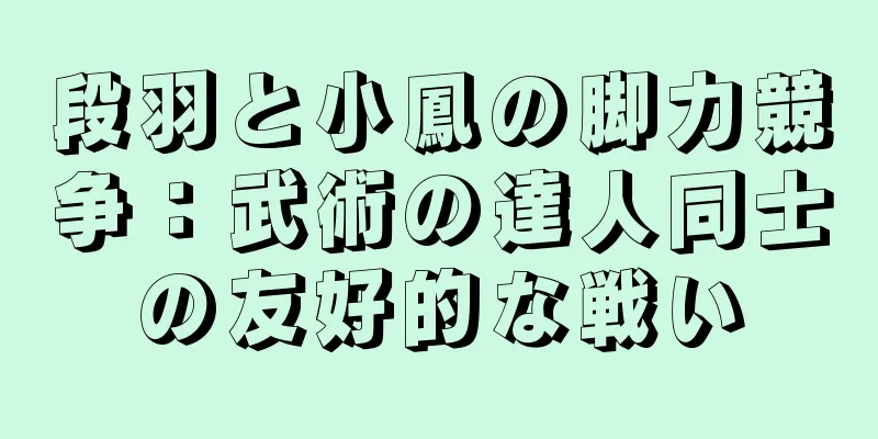 段羽と小鳳の脚力競争：武術の達人同士の友好的な戦い