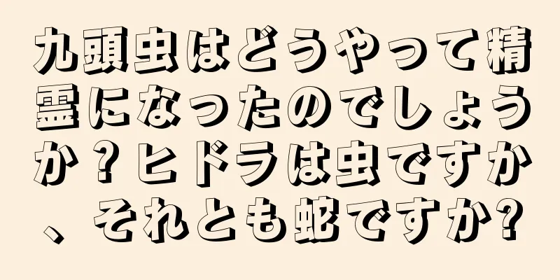 九頭虫はどうやって精霊になったのでしょうか？ヒドラは虫ですか、それとも蛇ですか?