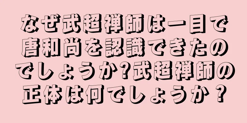 なぜ武超禅師は一目で唐和尚を認識できたのでしょうか?武超禅師の正体は何でしょうか？
