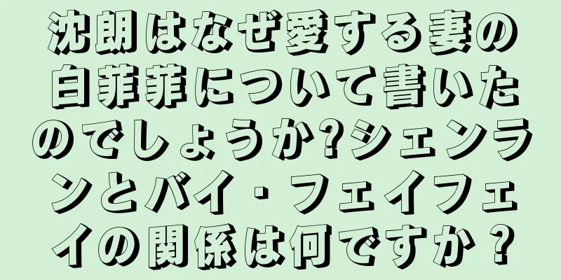 沈朗はなぜ愛する妻の白菲菲について書いたのでしょうか?シェンランとバイ・フェイフェイの関係は何ですか？