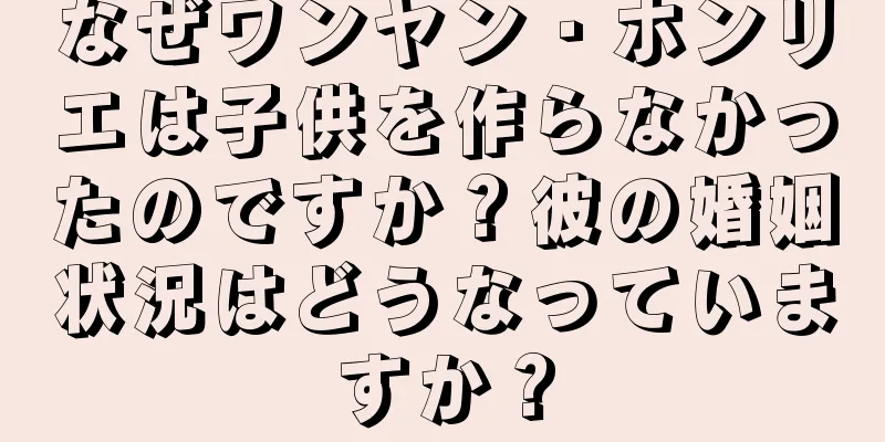 なぜワンヤン・ホンリエは子供を作らなかったのですか？彼の婚姻状況はどうなっていますか？